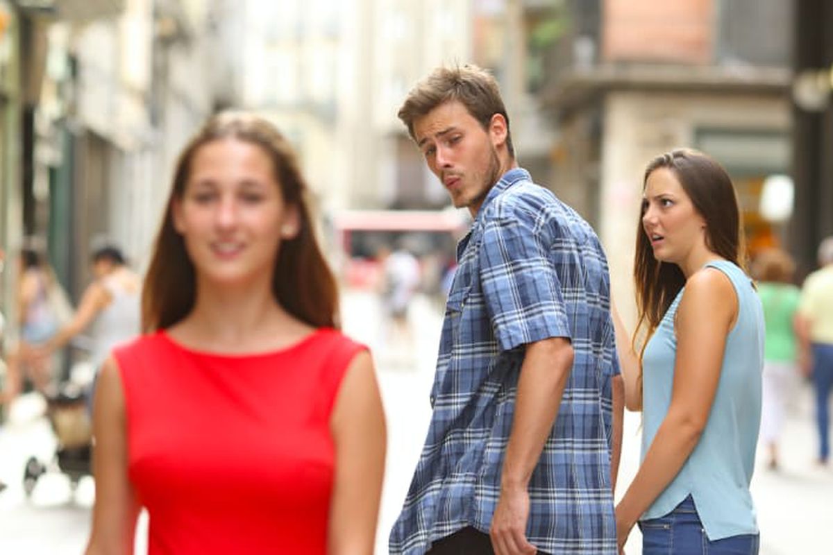 Distracted Boyfriend meme about Stella & Chewy's