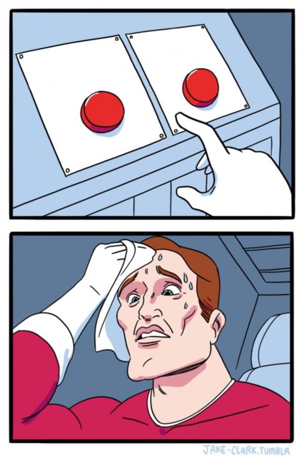 Two Buttons meme about Stella & Chewy's