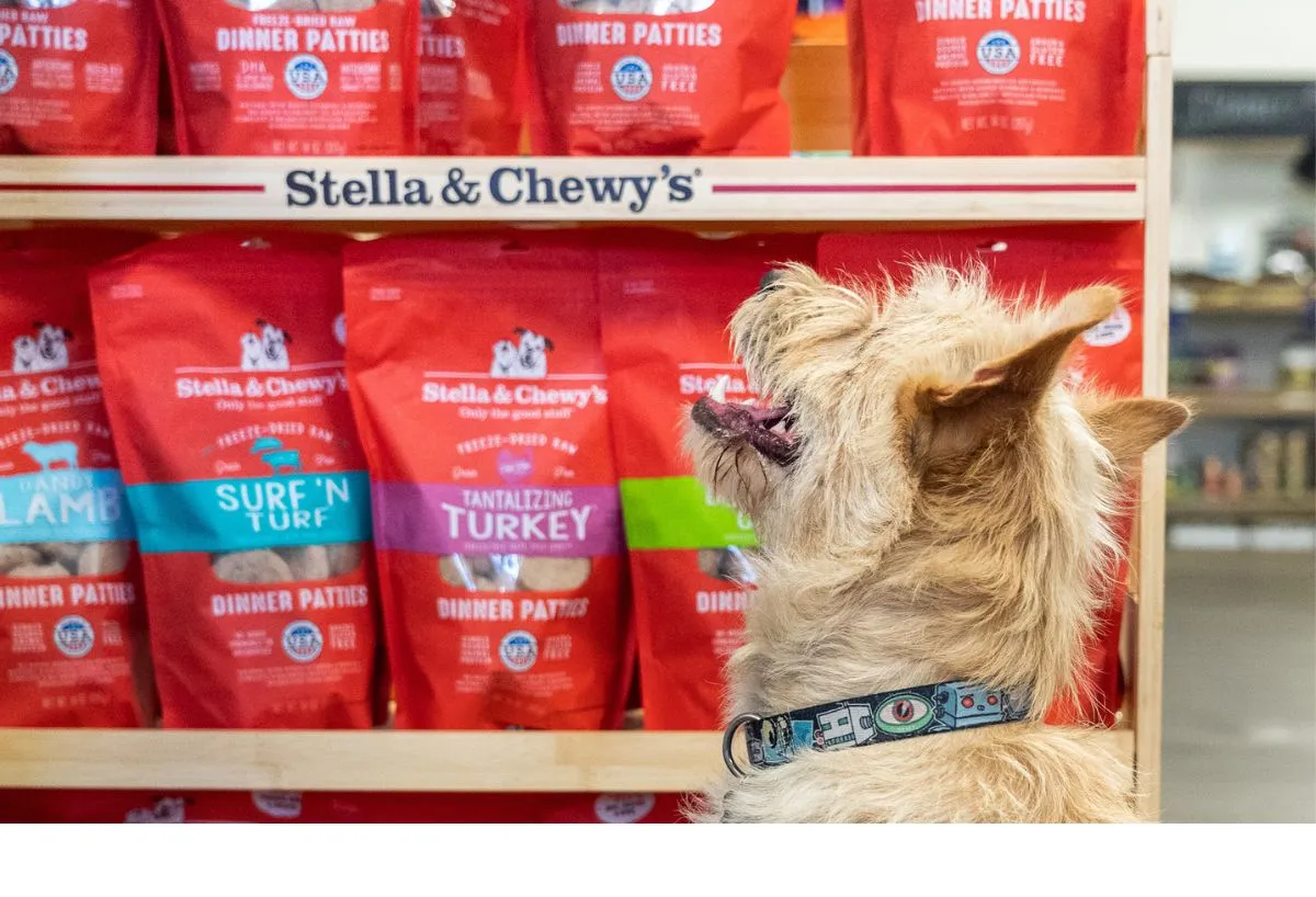 A dog looking at a shelf of Stella & Chewy's freeze-dried raw packs